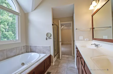 Bath - 1069 Reddington Dr, Aurora, IL 60502 photo 3 of 6