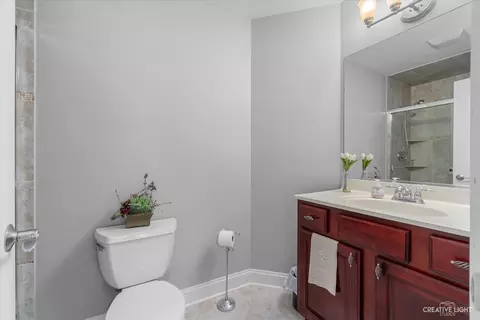 26411 Silverleaf Dr, Plainfield, IL 60585 photo 21