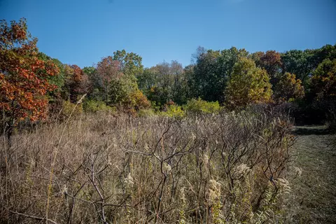 802 Union Rd, Harmon, IL 61042 photo 56