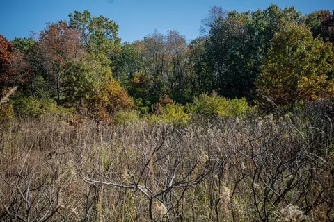 802 Union Rd, Harmon, IL 61042 photo 57