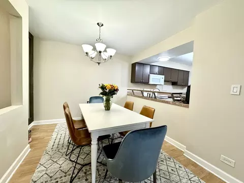 4613 Kings Walk Dr #2D, Rolling Meadows, IL 60008 photo 5
