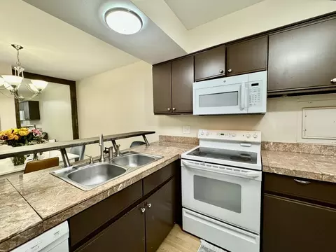 4613 Kings Walk Dr #2D, Rolling Meadows, IL 60008 photo 7