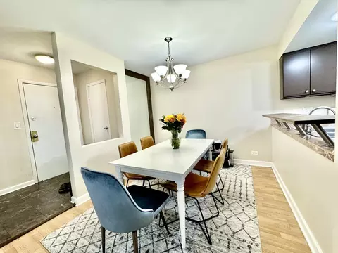 4613 Kings Walk Dr #2D, Rolling Meadows, IL 60008 photo 4