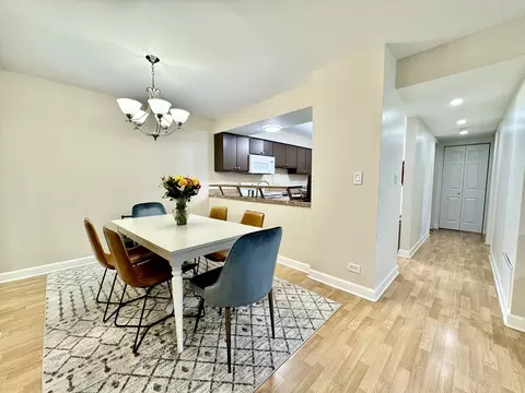 4613 Kings Walk Dr #2D, Rolling Meadows, IL 60008 photo 6