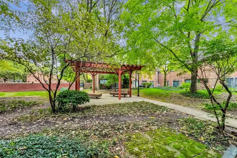 809 S Racine Ave, Chicago, IL 60607 photo 28
