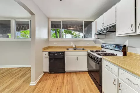809 S Racine Ave, Chicago, IL 60607 photo 11