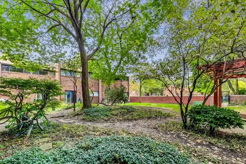 809 S Racine Ave, Chicago, IL 60607 photo 26