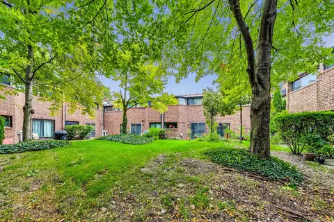 809 S Racine Ave, Chicago, IL 60607 photo 30