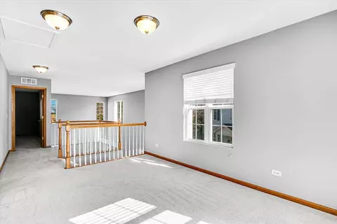 1051 Clover Dr, Minooka, IL 60447 photo 13
