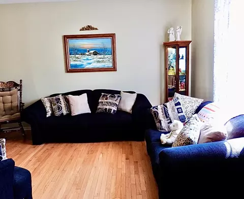 Living - 923 Limerick Ln, Mchenry, IL 60050 photo 3 of 3