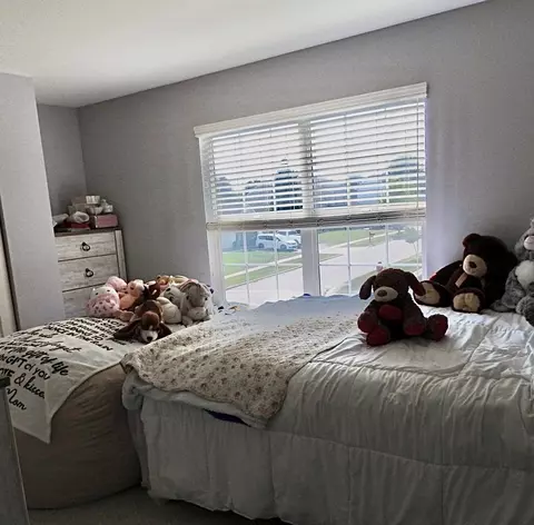 Bedroom - 923 Limerick Ln, Mchenry, IL 60050 photo 3 of 3
