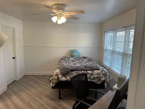 20833 W Peppertree Ct, Plainfield, IL 60544 photo 9