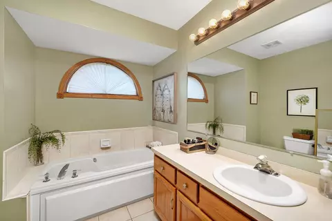 Bath - 19332 Emerald Ct, Mokena, IL 60448 photo 1 of 4