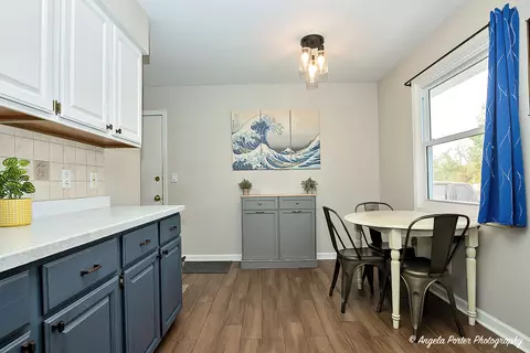 209 Cass St, Spring Grove, IL 60081 photo 22
