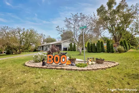 209 Cass St, Spring Grove, IL 60081 photo 15