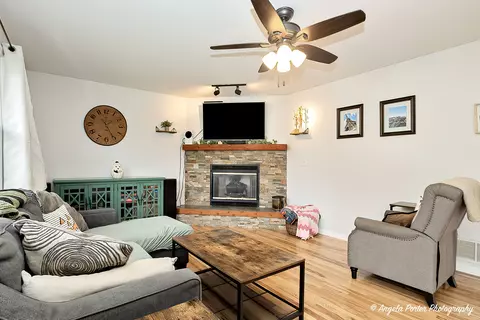 209 Cass St, Spring Grove, IL 60081 photo 18
