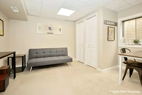 209 Cass St, Spring Grove, IL 60081 photo 34