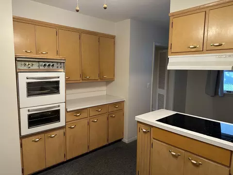 1422 W Vanmeter St, Kankakee, IL 60901 photo 10