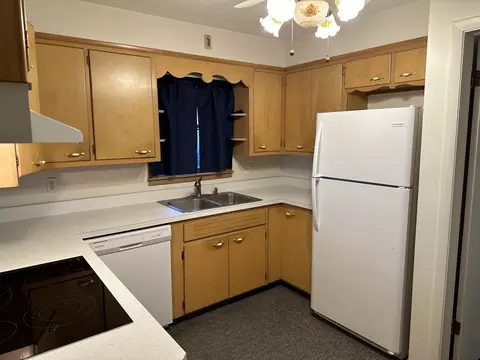 1422 W Vanmeter St, Kankakee, IL 60901 photo 8