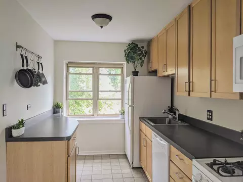 203 Custer Ave #2, Evanston, IL 60202 photo 4