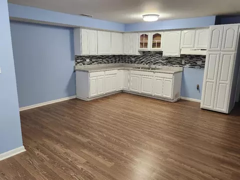 935 W 116th St, Chicago, IL 60643 photo 4