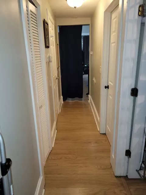 Entry Way - 423 E Chicago St #B, Elgin, IL 60120 photo 1 of 2