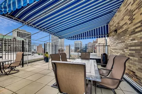 40 E Cedar St #12B, Chicago, IL 60611 photo 42