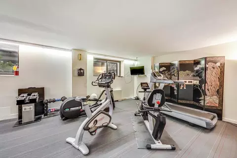 40 E Cedar St #12B, Chicago, IL 60611 photo 29