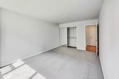 40 E Cedar St #12B, Chicago, IL 60611 photo 20