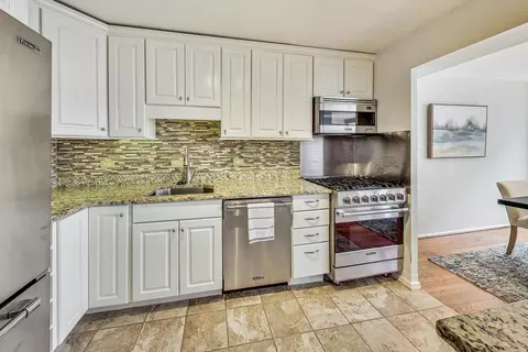 40 E Cedar St #12B, Chicago, IL 60611 photo 16