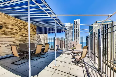 40 E Cedar St #12B, Chicago, IL 60611 photo 44