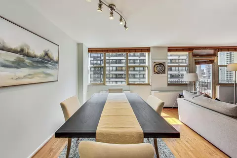 40 E Cedar St #12B, Chicago, IL 60611 photo 13