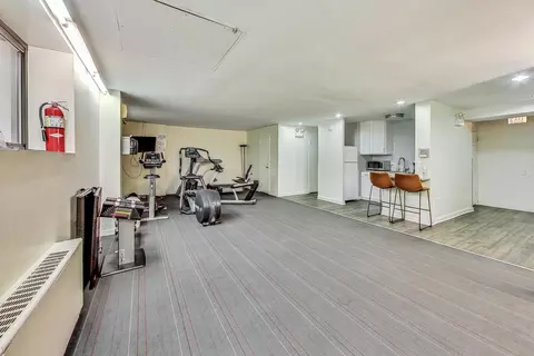 40 E Cedar St #12B, Chicago, IL 60611 photo 28