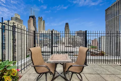 40 E Cedar St #12B, Chicago, IL 60611 photo 35