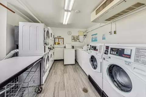 40 E Cedar St #12B, Chicago, IL 60611 photo 26