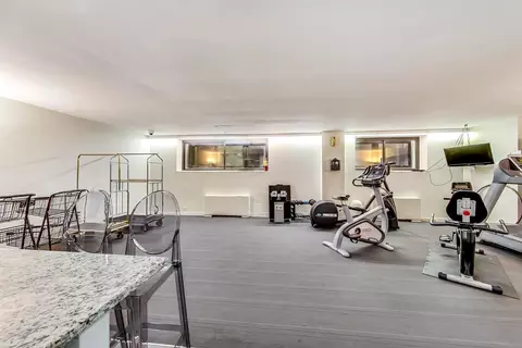 40 E Cedar St #12B, Chicago, IL 60611 photo 32