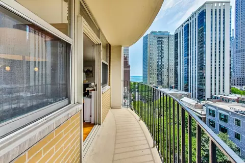 40 E Cedar St #12B, Chicago, IL 60611 photo 22
