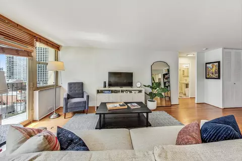40 E Cedar St #12B, Chicago, IL 60611 photo 10