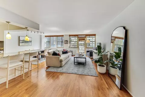 40 E Cedar St #12B, Chicago, IL 60611 photo 9
