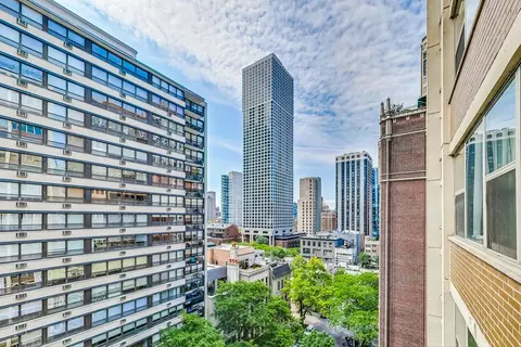 40 E Cedar St #12B, Chicago, IL 60611 photo 24