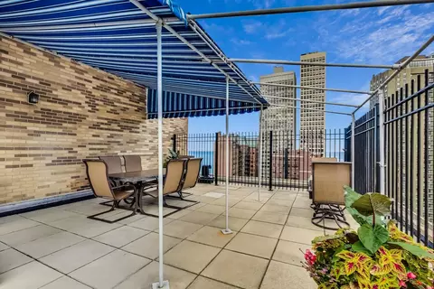 40 E Cedar St #12B, Chicago, IL 60611 photo 43