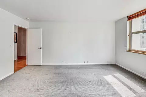 40 E Cedar St #12B, Chicago, IL 60611 photo 19