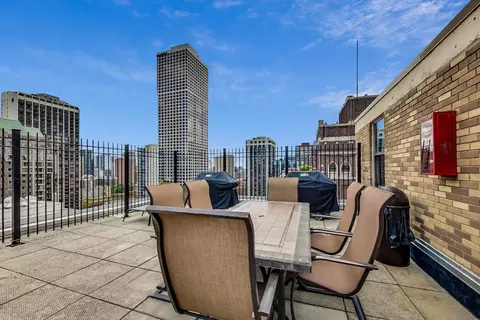 40 E Cedar St #12B, Chicago, IL 60611 photo 34