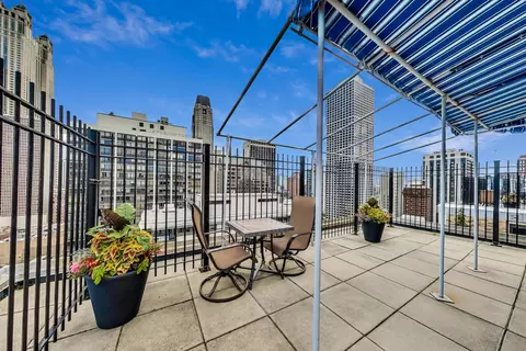 40 E Cedar St #12B, Chicago, IL 60611 photo 41