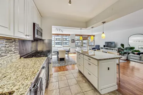 40 E Cedar St #12B, Chicago, IL 60611 photo 17