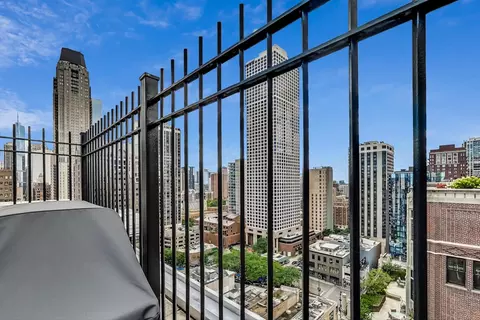 40 E Cedar St #12B, Chicago, IL 60611 photo 39