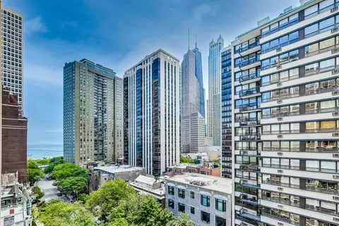 40 E Cedar St #12B, Chicago, IL 60611 photo 25