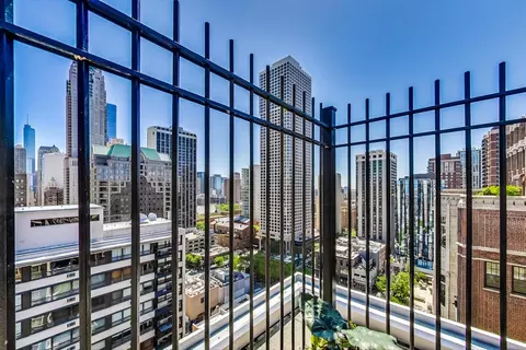 40 E Cedar St #12B, Chicago, IL 60611 photo 40