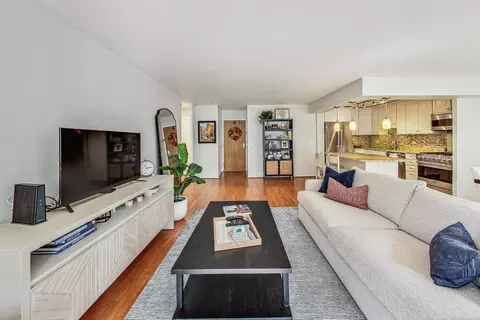 40 E Cedar St #12B, Chicago, IL 60611 photo 11