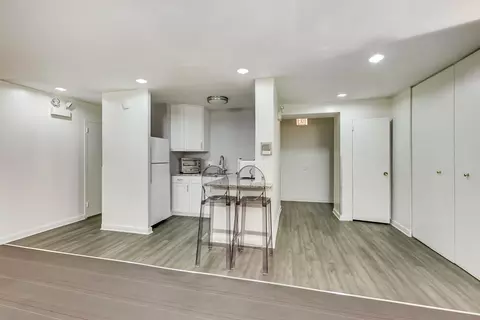 40 E Cedar St #12B, Chicago, IL 60611 photo 31